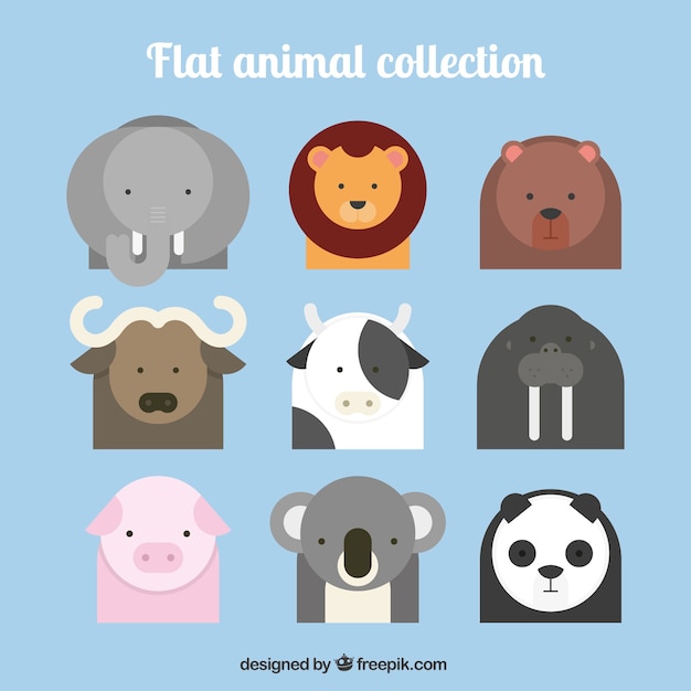 Colección plana de animales