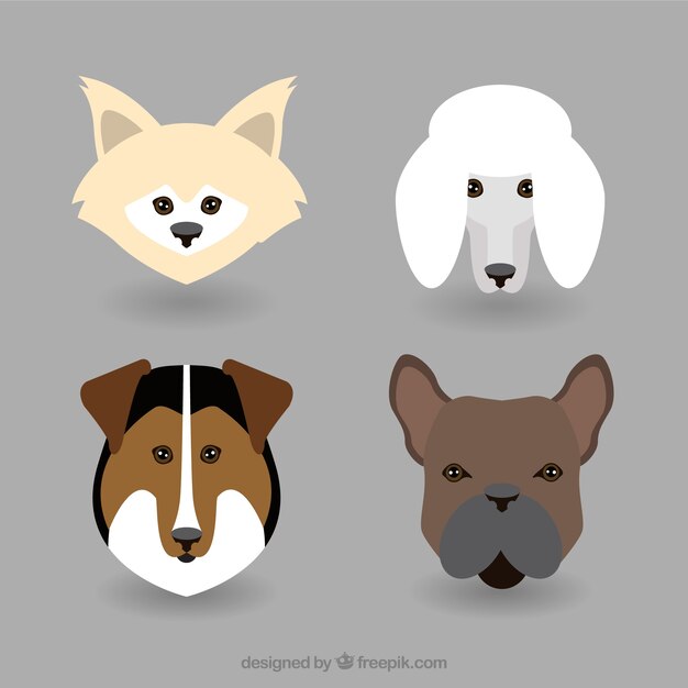 Colección plana de avatares de razas de perro