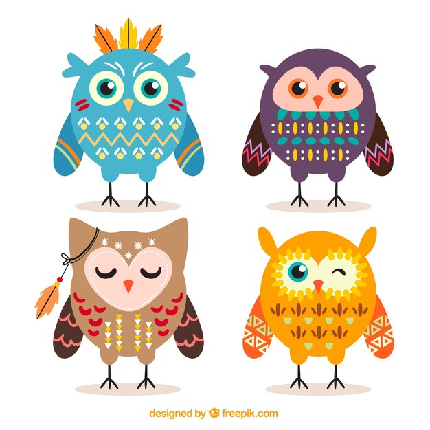 Colección plana de búhos