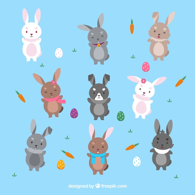 Colección plana de conejo de pascua