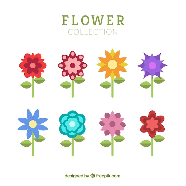 Colección plana de diferentes tipos de flores