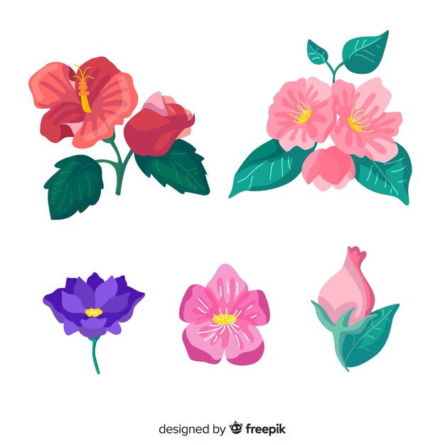 Colección plana de flores y hojas