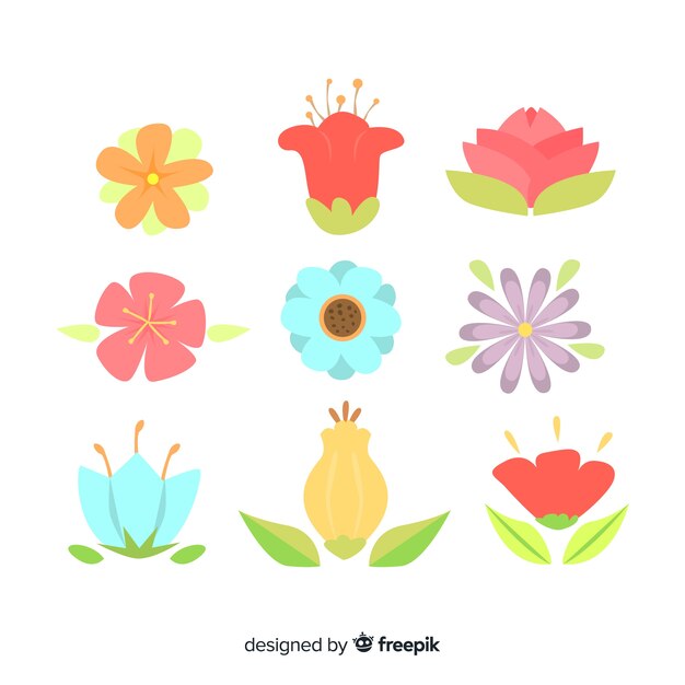 Colección plana de flores y hojas