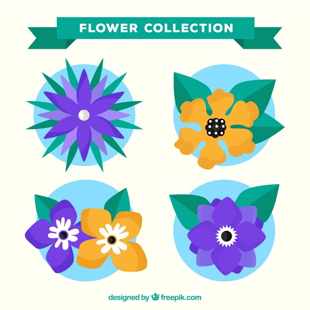 Colección plana de flores moradas y naranjas