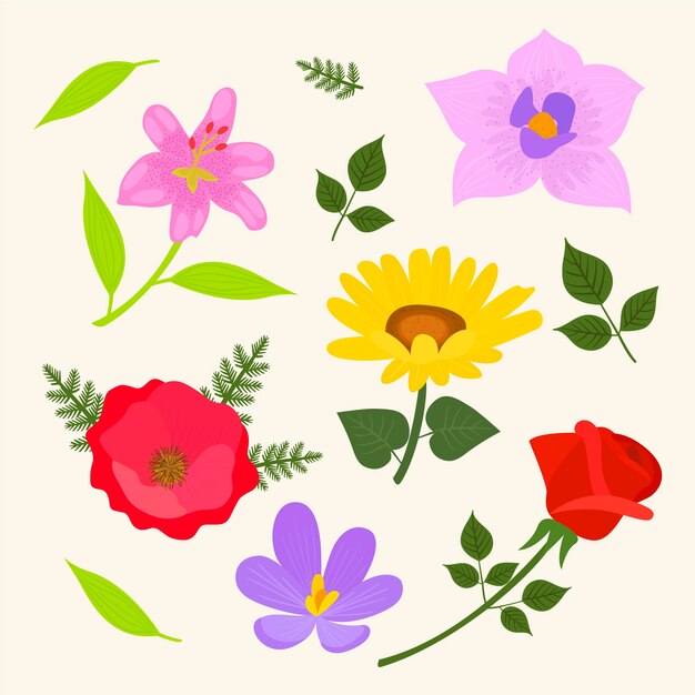 Colección plana de flores de primavera