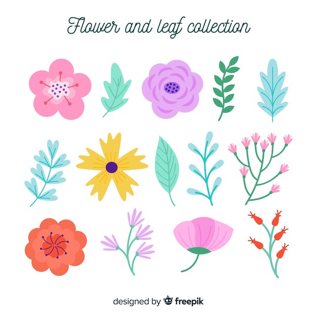 Colección plana hojas y flores coloridas