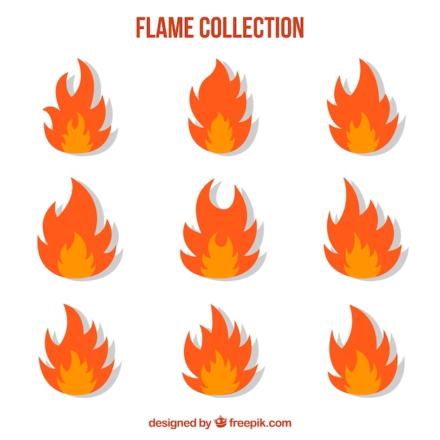 Colección plana de llamas en dos colores