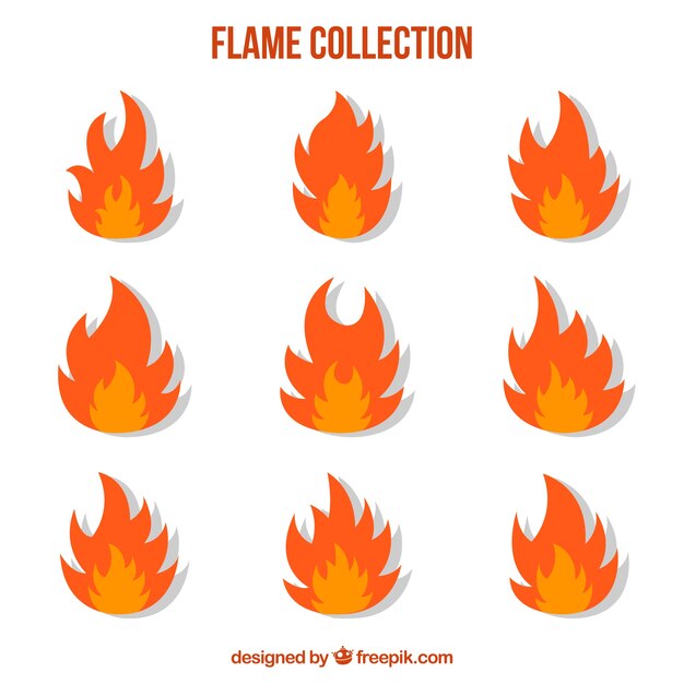 Colección plana de llamas en dos colores