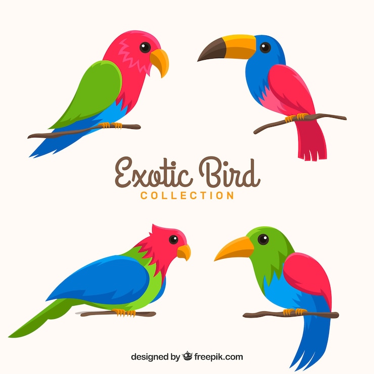 Vector gratuito colección plana de pájaros exóticos