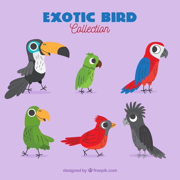 Colección plana de pájaros exóticos