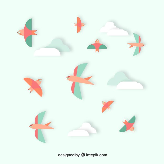 Colección plana de pájaros