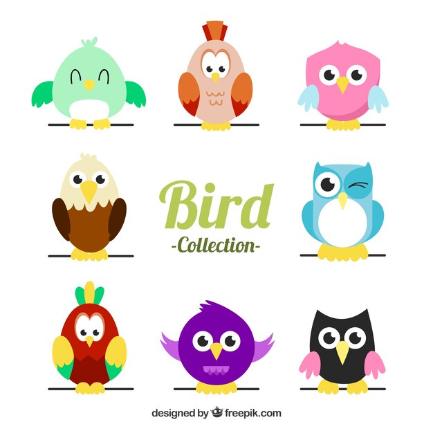 Colección plana de pájaros