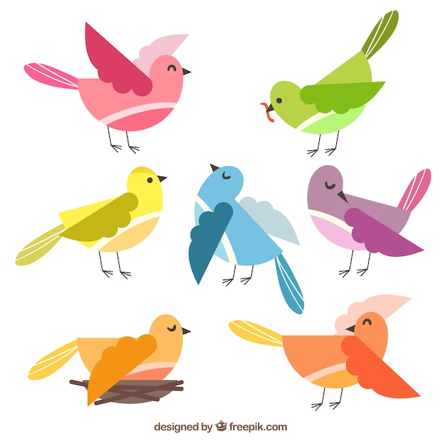 Vector gratuito colección plana de pájaros