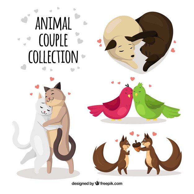 Colección plana de parejas de animales del día de san valentín