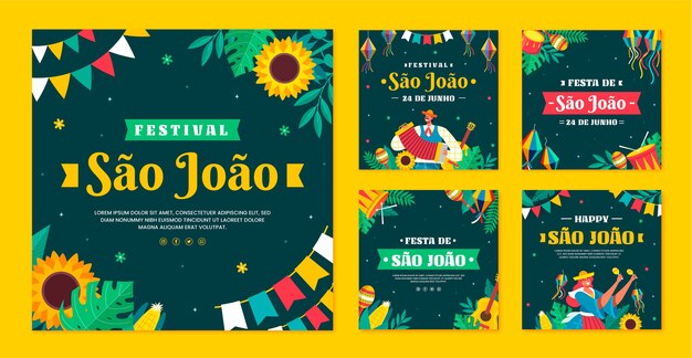 Colección plana de publicaciones de instagram de sao joao