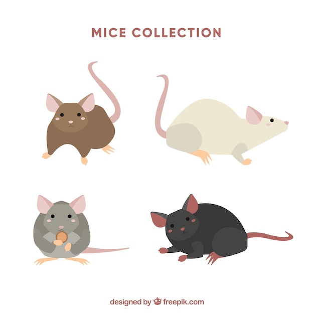 Colección plana de ratones con diferentes poses 