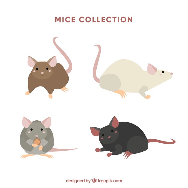 Colección plana de ratones con diferentes poses