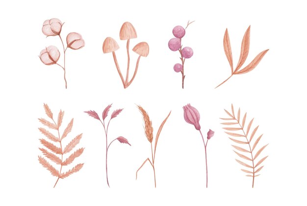 Colección plantas acuarelas dibujadas a mano