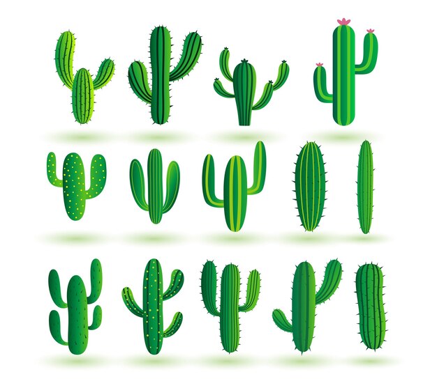 colección de plantas de cactus silvestres y secas diseño de fondo