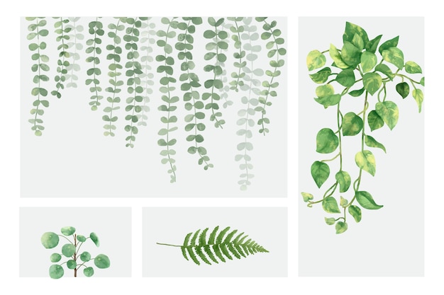 Colección de plantas dibujadas a mano aisladas sobre fondo blanco