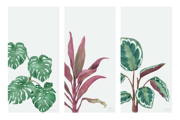 Colección de plantas dibujadas a mano aisladas sobre fondo blanco
