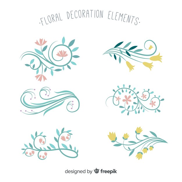 Colección plantas dibujadas a mano