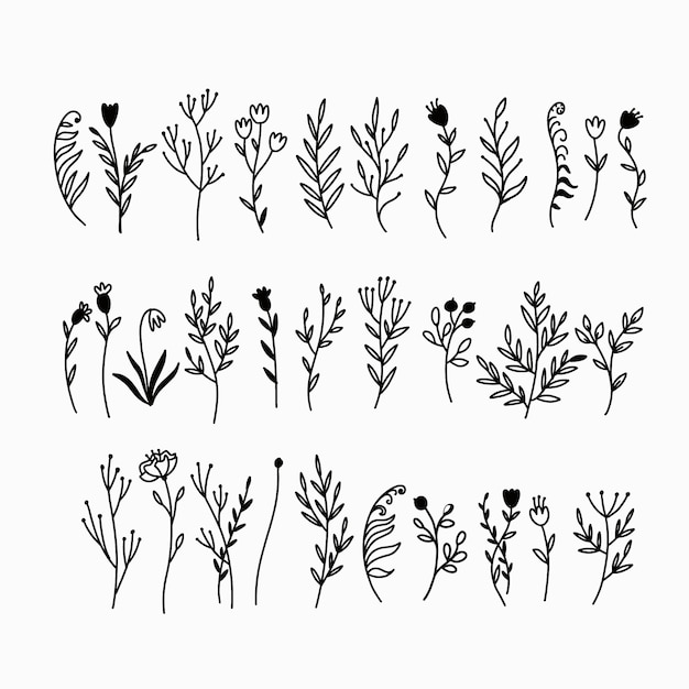 Colección de plantas de doodle