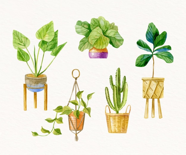 Colección de plantas de interior de acuarela pintada