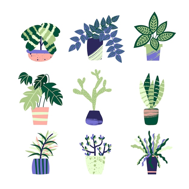 Vector gratuito colección de plantas de interior dibujadas a mano ilustrada