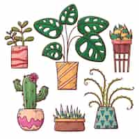 Vector gratuito colección de plantas de interior dibujadas a mano