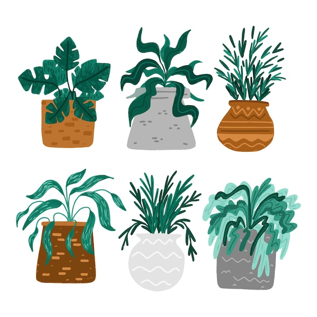 Vector gratuito colección de plantas de interior dibujadas a mano