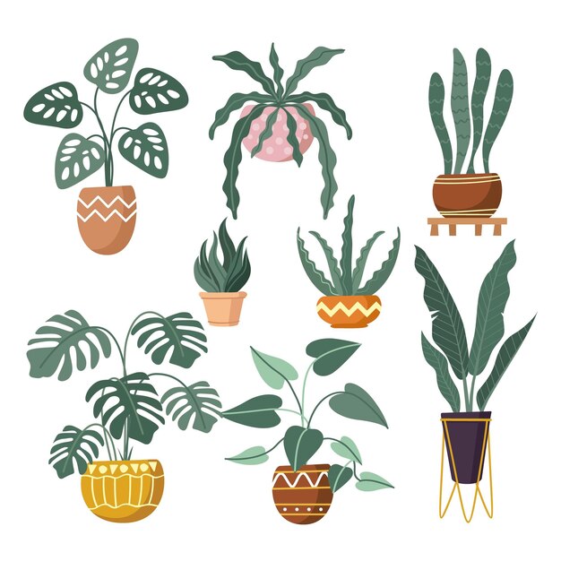 Colección de plantas de interior dibujadas a mano