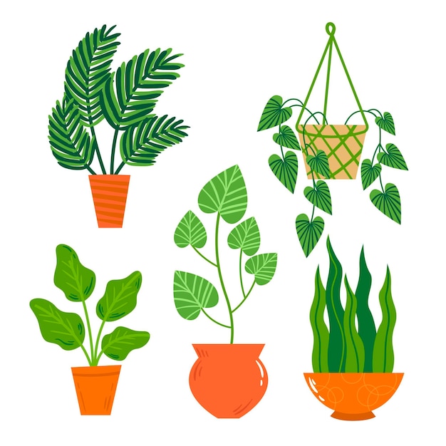 Vector gratuito colección de plantas de interior dibujadas a mano