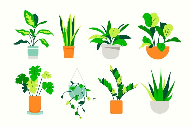 Colección de plantas de interior dibujadas a mano