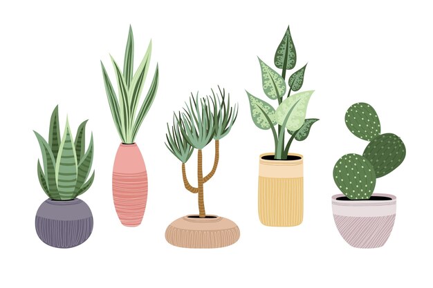 Colección de plantas de interior dibujadas a mano