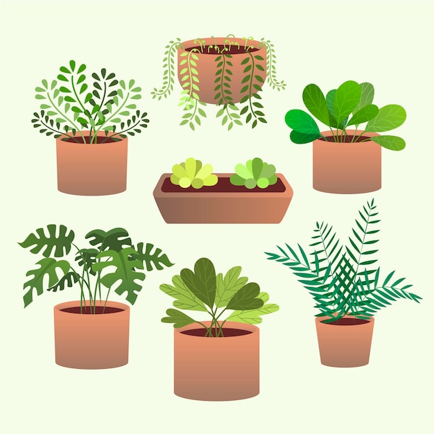 Vector gratuito colección de plantas de interior dibujadas a mano