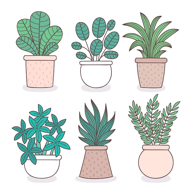 Vector gratuito colección de plantas de interior dibujadas a mano