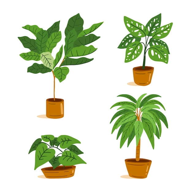 Vector gratuito colección de plantas de interior dibujadas a mano