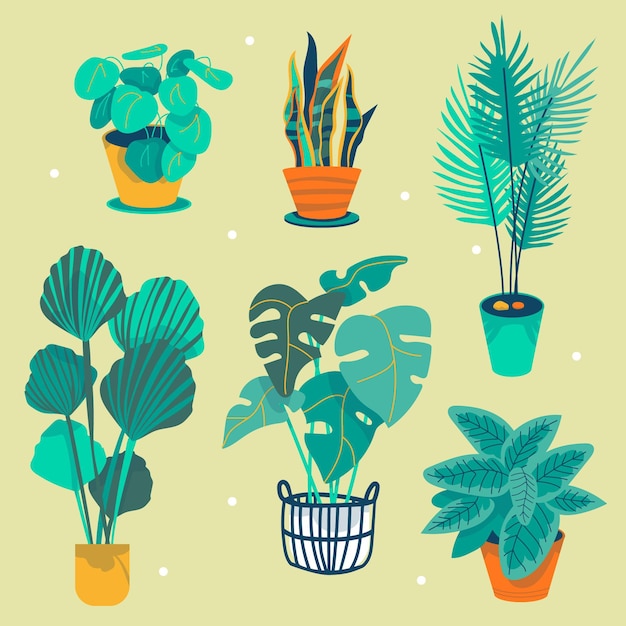 Vector gratuito colección de plantas de interior dibujadas a mano