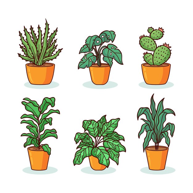 Colección de plantas de interior dibujadas a mano