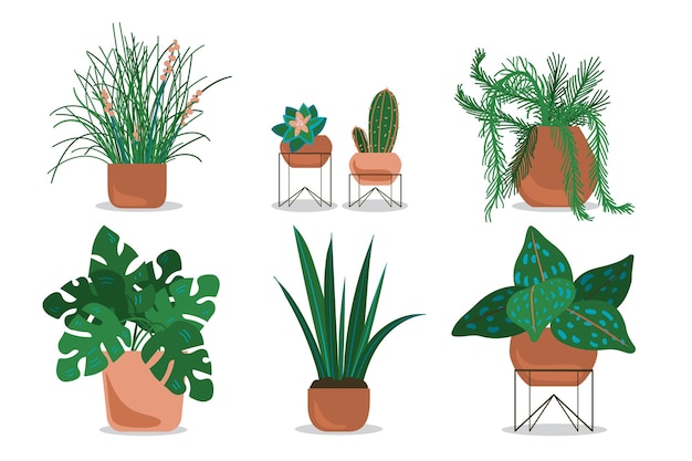 Vector gratuito colección de plantas de interior dibujadas a mano