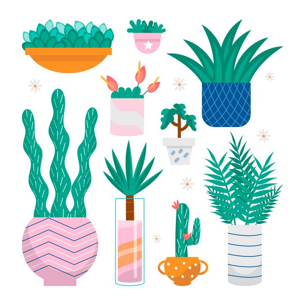 Colección de plantas de interior dibujadas a mano