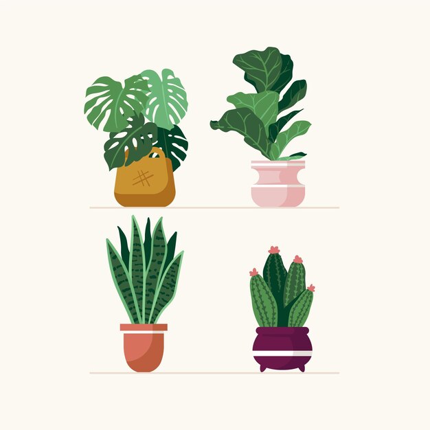 Colección de plantas de interior dibujadas a mano