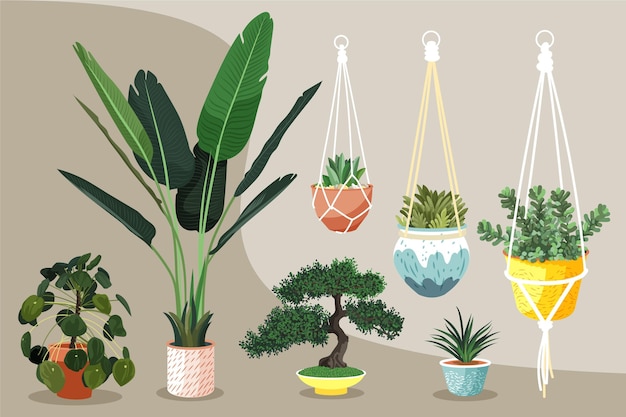Colección de plantas de interior dibujadas a mano