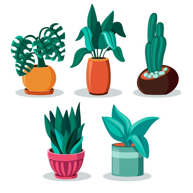Colección de plantas de interior de diseño plano orgánico