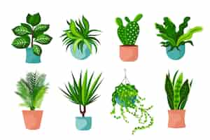 Vector gratuito colección de plantas de interior de diseño plano orgánico