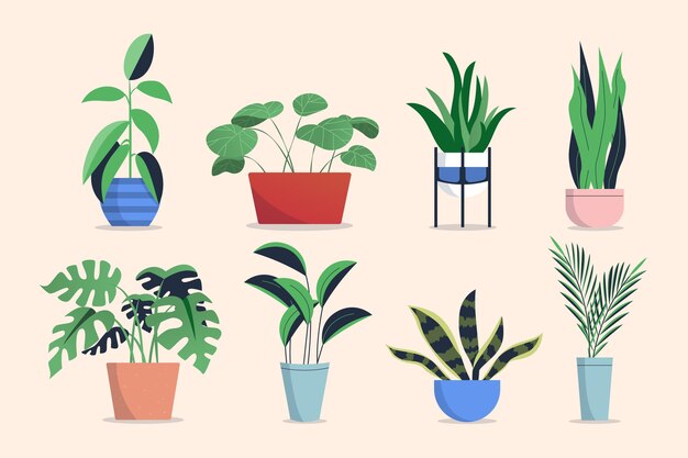 Colección de plantas de interior de diseño plano.