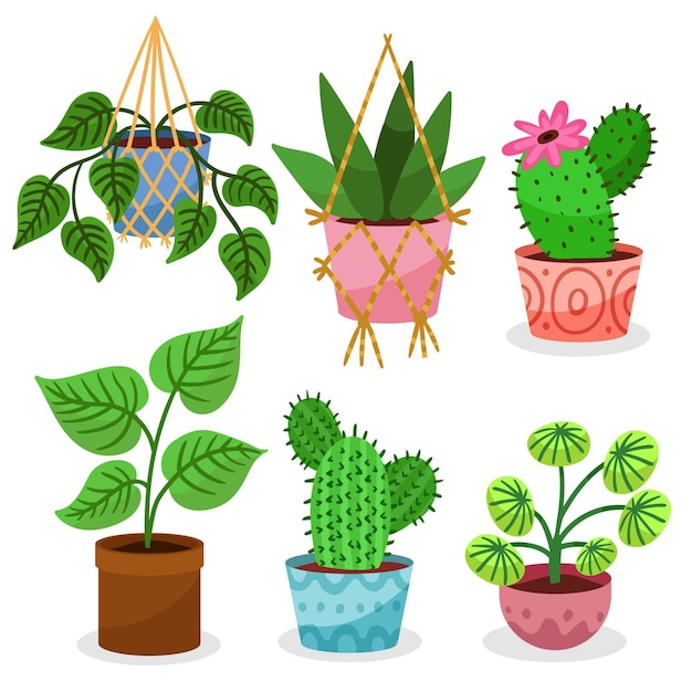 Colección de plantas de interior de diseño plano