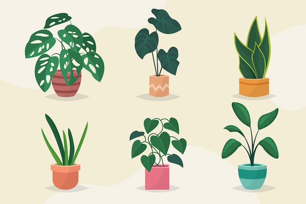 Vector gratuito colección de plantas de interior planas orgánicas