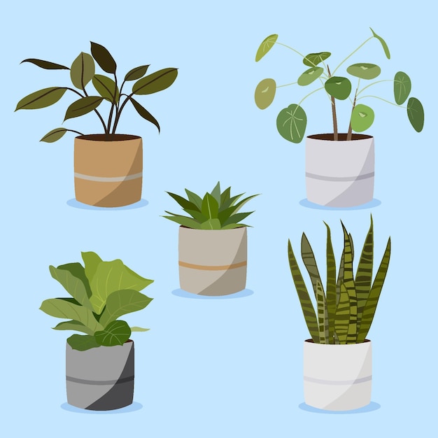 Colección de plantas de interior planas orgánicas